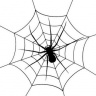 磁力蜘蛛 V1.0 安卓版