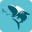 鲨鱼视频 V1.4.1 最新版
