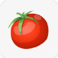 西红柿小说 v1.1 安卓版
