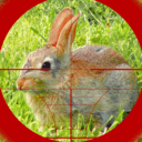 猎兔狙击手 v1.3 安卓版