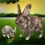 终极兔子模拟器 V1.11 安卓版