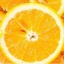 橙子视频 V3.0.2 破解版